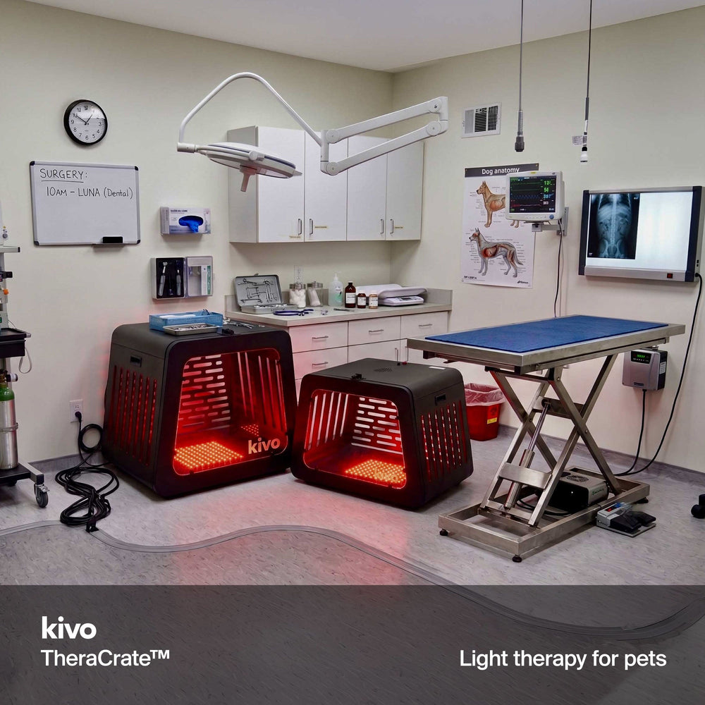 Kivo TheraCrate pour animaux