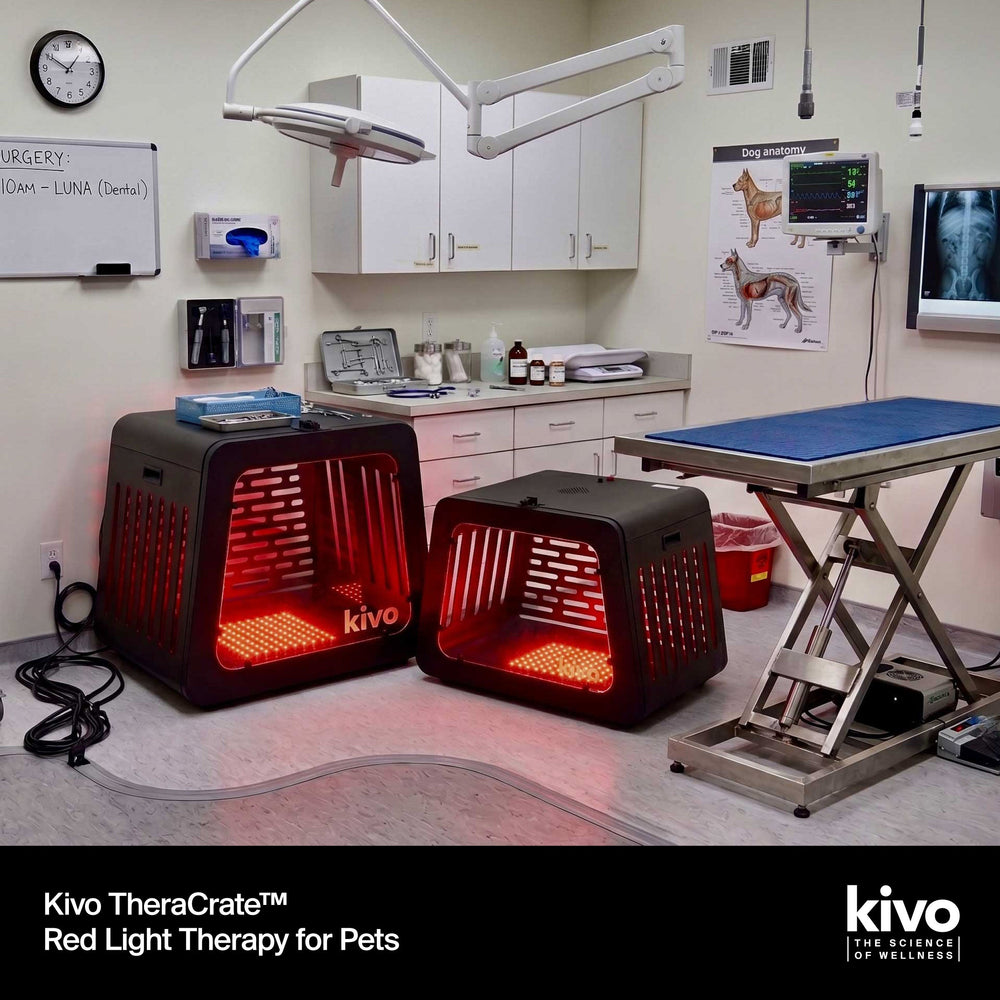 Kivo TheraCrate pour animaux