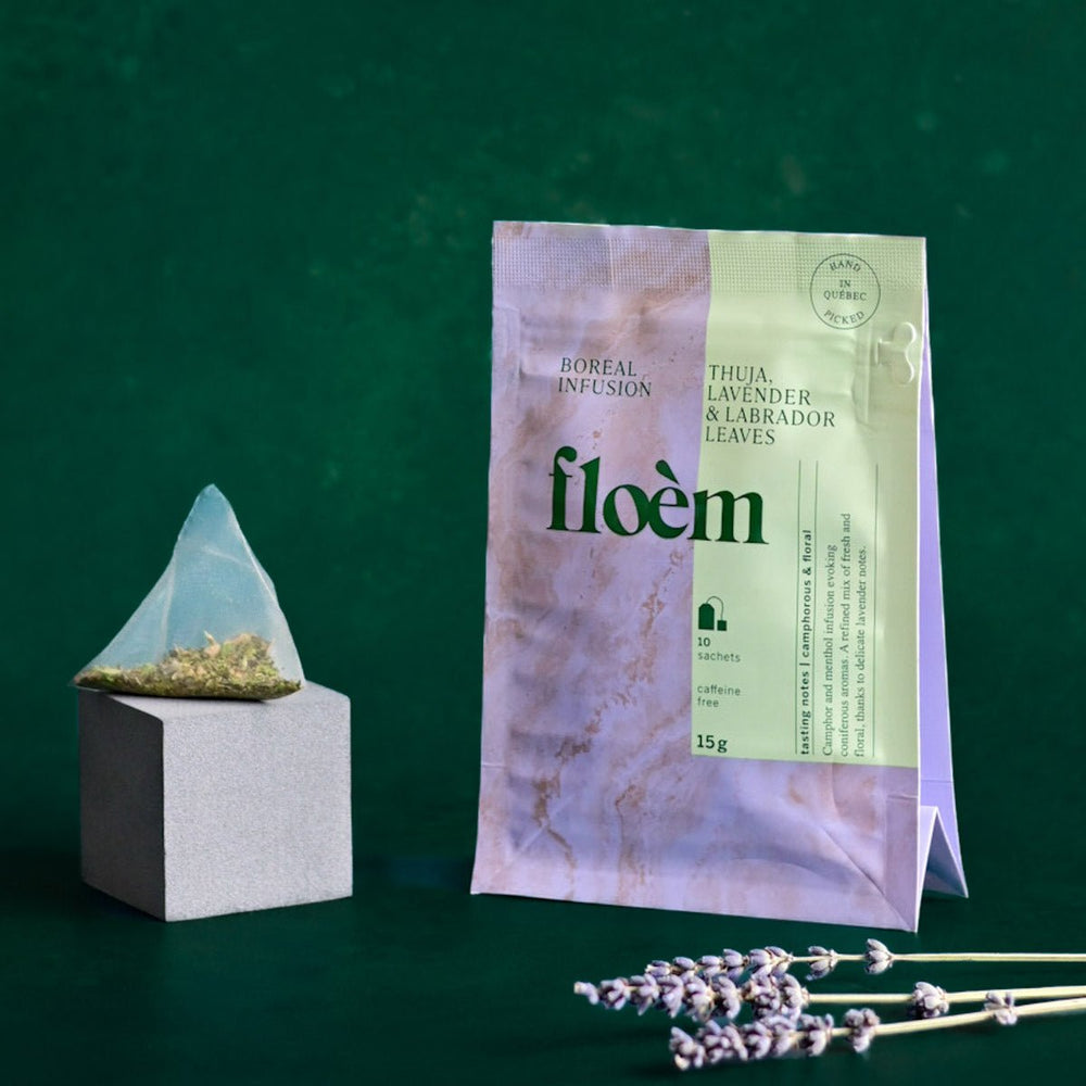 Tisane en sachets Thuya, Lavande & feuilles du Labrador