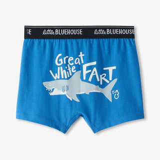 Boys Boxers & Briefs