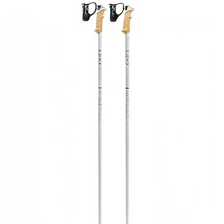 Alpine Skiing Poles