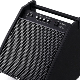 Keyboard Amplifiers