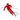 Alpine Skiing