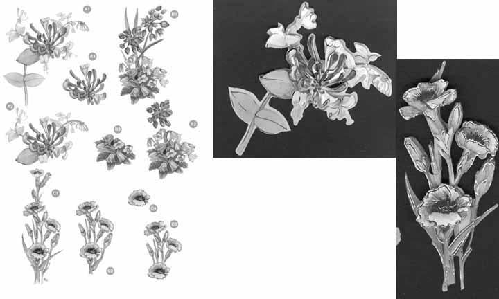 Craft UK Floral - Jacinthes - Argenté