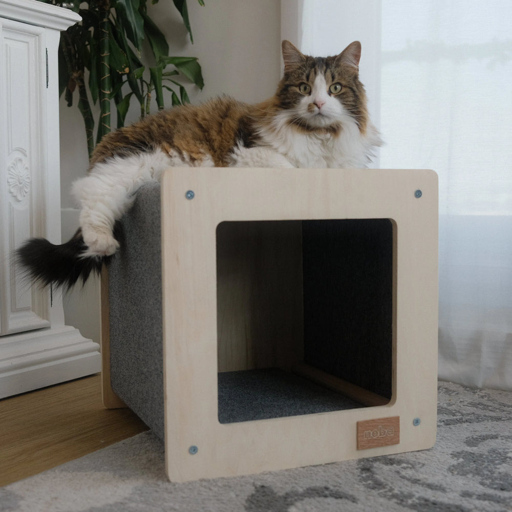 La Cabane Urbaine pour Animaux