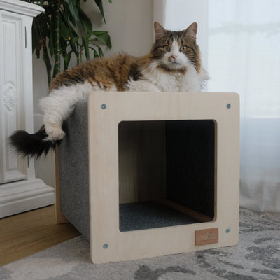 The Urban Hut Pet House