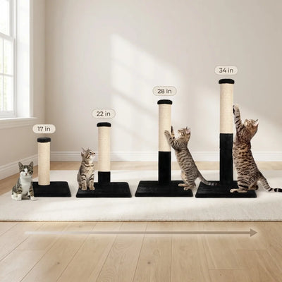 Noba Evolution - 4 in 1 Scratching post - Black Faux Fur