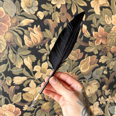 Le Calame de l'Ombre – Plume d'oie noire avec porte-plume en laiton