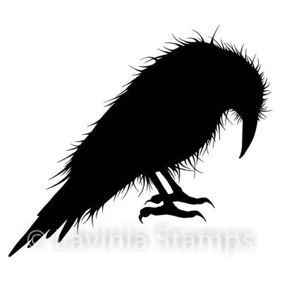 Tampon Lavinia - Barric