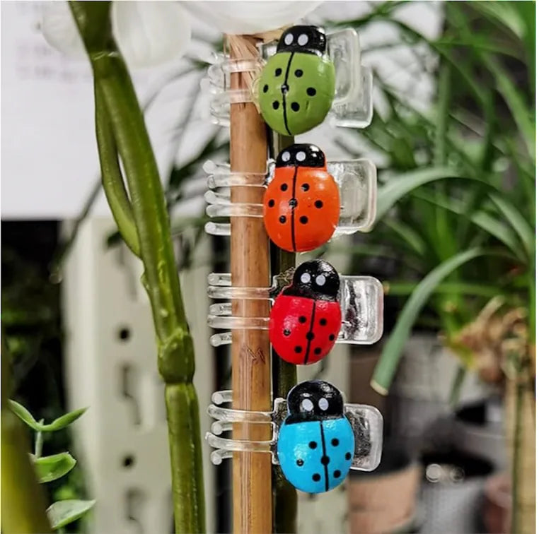 Ladybug Clips