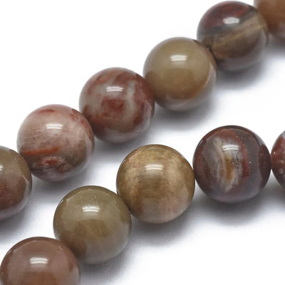 Petrified Wood Round Bead