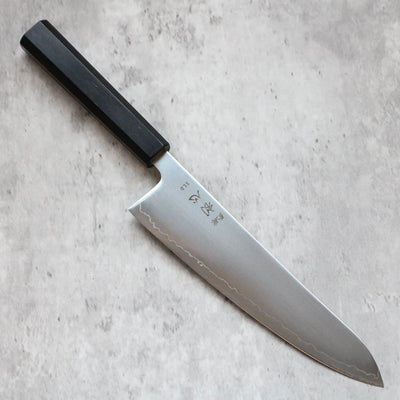 Hatsukokoro Hikari SLD Gyuto 210 mm
