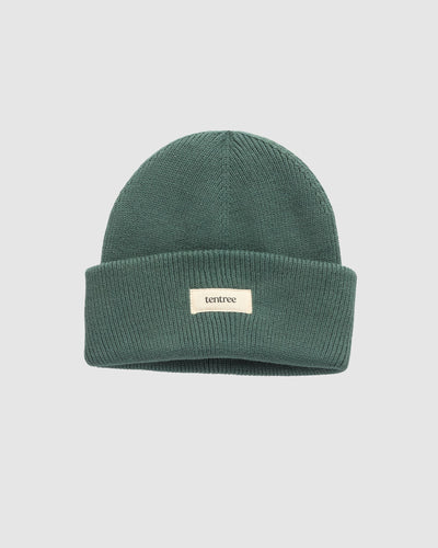 Alden Beanie