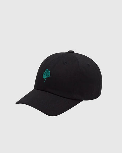 Chapeau Pic Feuillage Amazonien