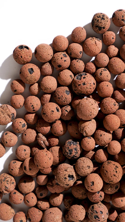 LECA (Billes d'argile) Gros format