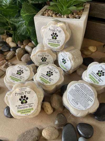 Pastille de shampoing Fraîcheur Canine