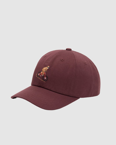 Casquette Sasquatch Peak