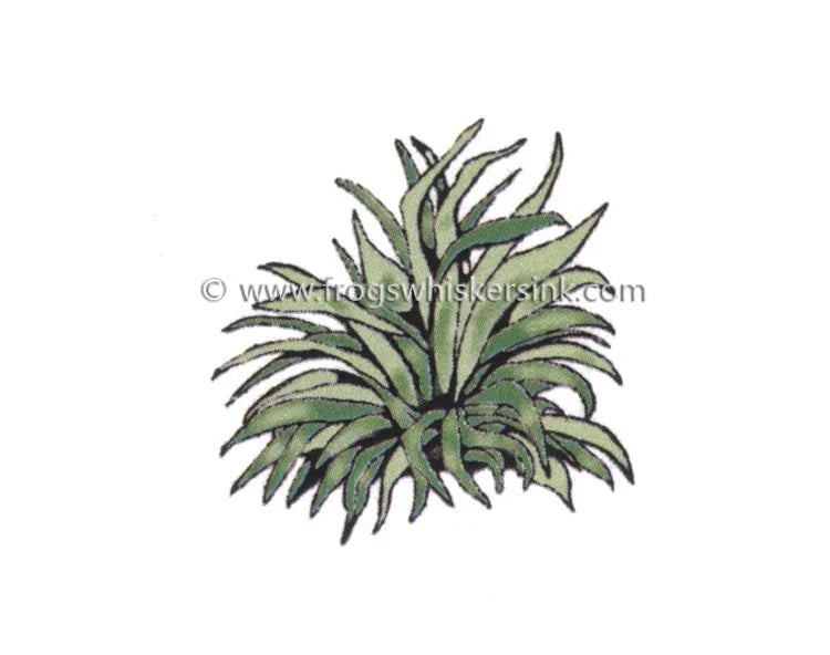 Tampon encreur Hosta #2 de Frog's Whiskers