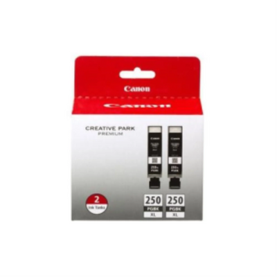 Ensemble de 2 cartouches d'encre PGI-250XL PGBK