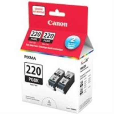 Ensemble de 2 cartouches d'encre PGI-220 BK de Canon