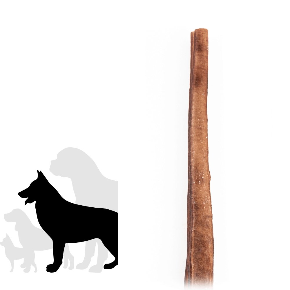 Bâtonnet à mâcher Jumbo pour chien de 30 cm