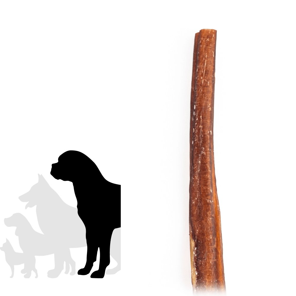 Bâtonnet à mâcher Monster de 30 cm