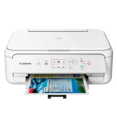 Canon PIXMA TS5120 White (2228C023)