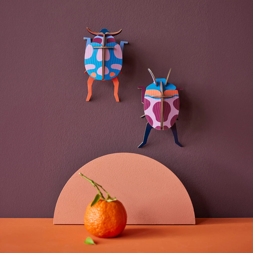 Coccinelle Couple