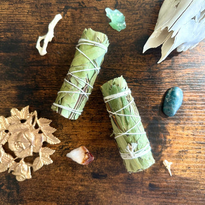 Bâton de purification d'eucalyptus