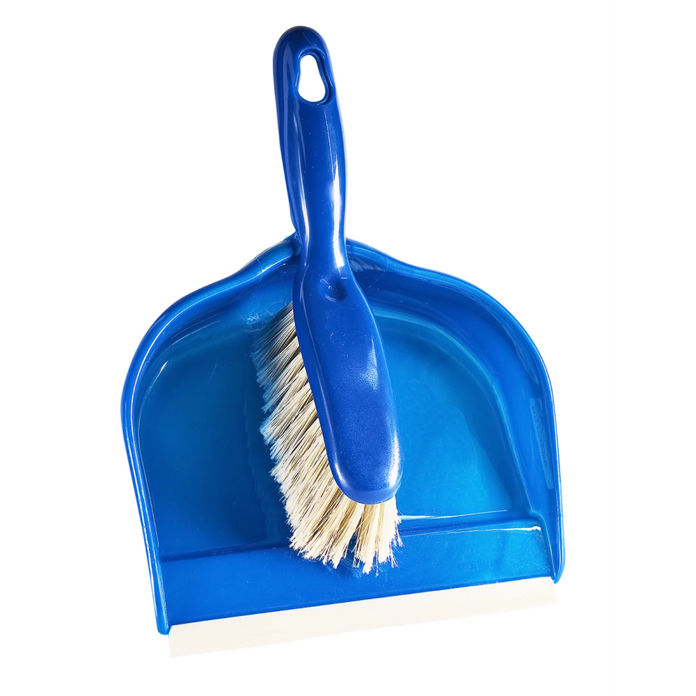 Counter Brush /w Dust Pan