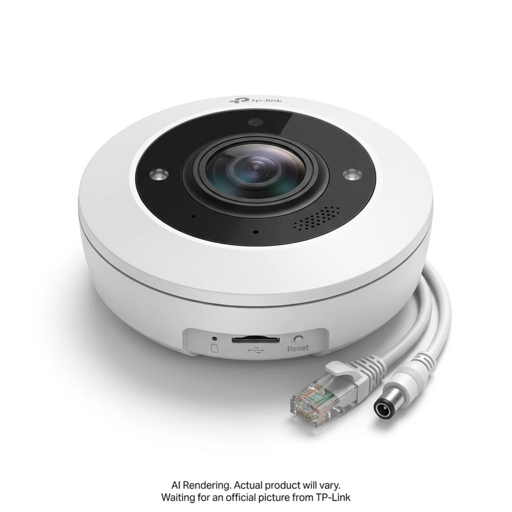 VIGI 5MP IR Fisheye Network Camera