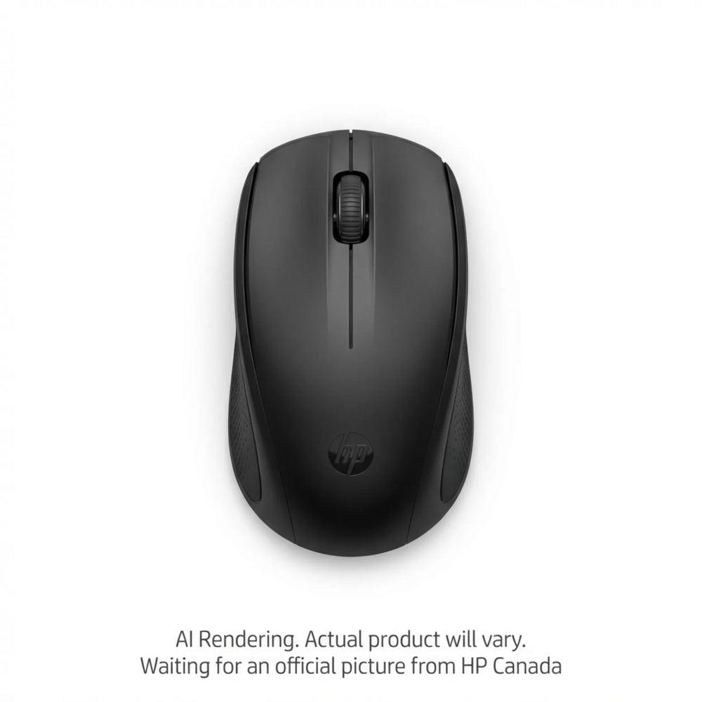 HP 150 WRLS Mouse Canada - French Bilingual