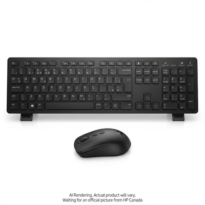 HP 650 Wireless KB/MSE Combo Black Canada - French Bilingual (4R013AA#ABL)