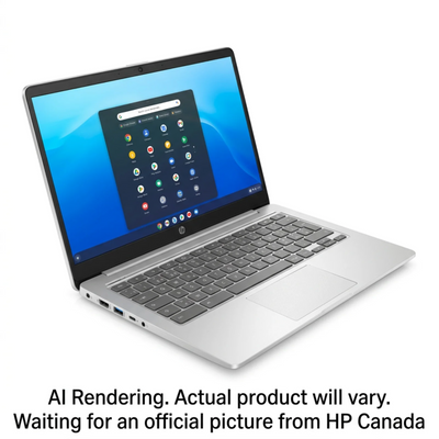HP 14a-nf0030ca Chromebook - French Bilingual (9V9L5UA#ABL)