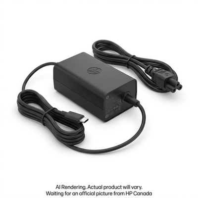 HP 45W USB-C AC Adapter - French Bilingual (N8N14AA#ABL)