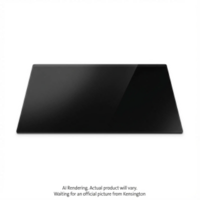 Kensington FP195W10 Monitor Privacy Screen (K52127WW)