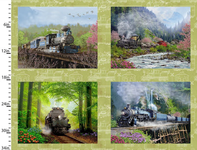 3 Wishes - Michael W. Shelton - Steam in the Spring - Panel