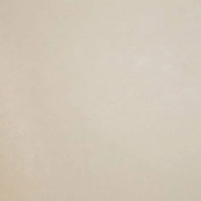 Shannon Fabrics - Cuddle - Ivory Cuddle Solid 90in Wide