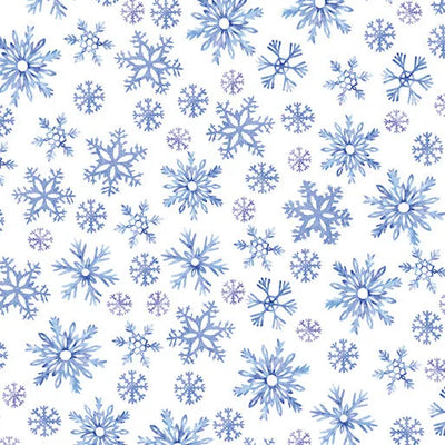 Snowflake Wishes - Nicole DeCamp - Wintery Snowflakes White - 15191-09