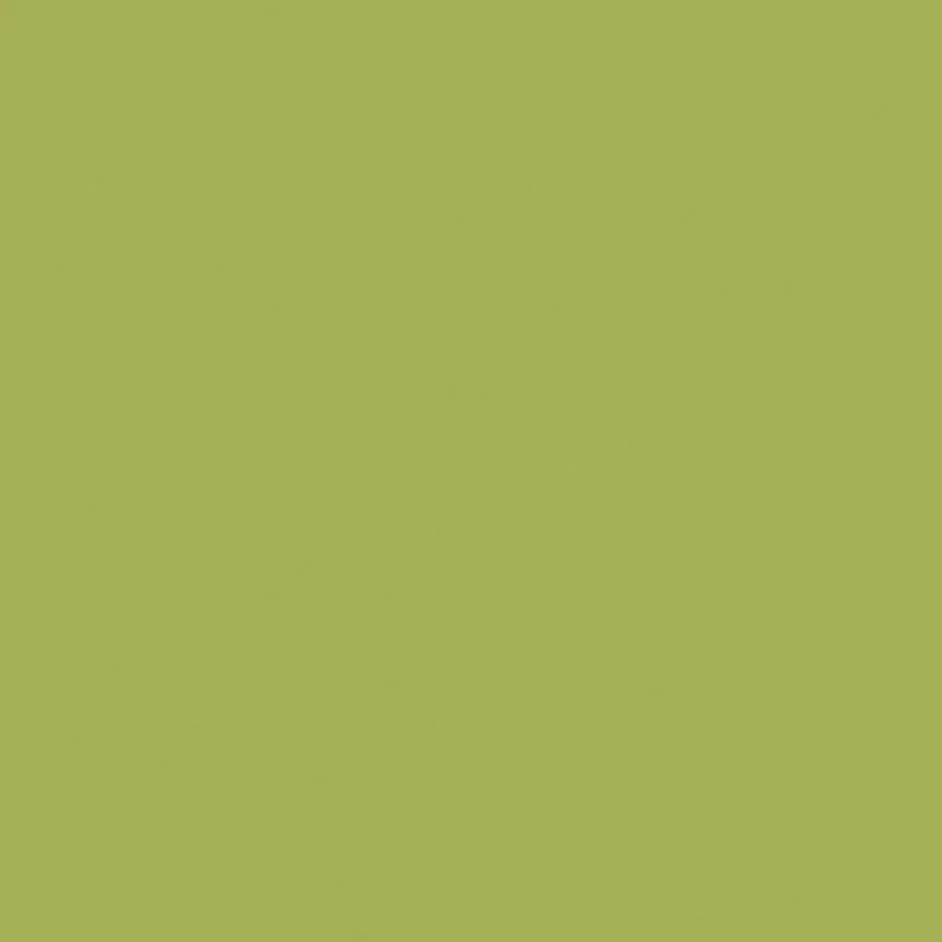 Solid - Colorworks - Kiwi - 9000-741