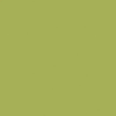 Solid - Colorworks - Kiwi - 9000-741