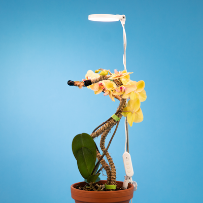Lumière LED réglable pour plantes de 28 pouces