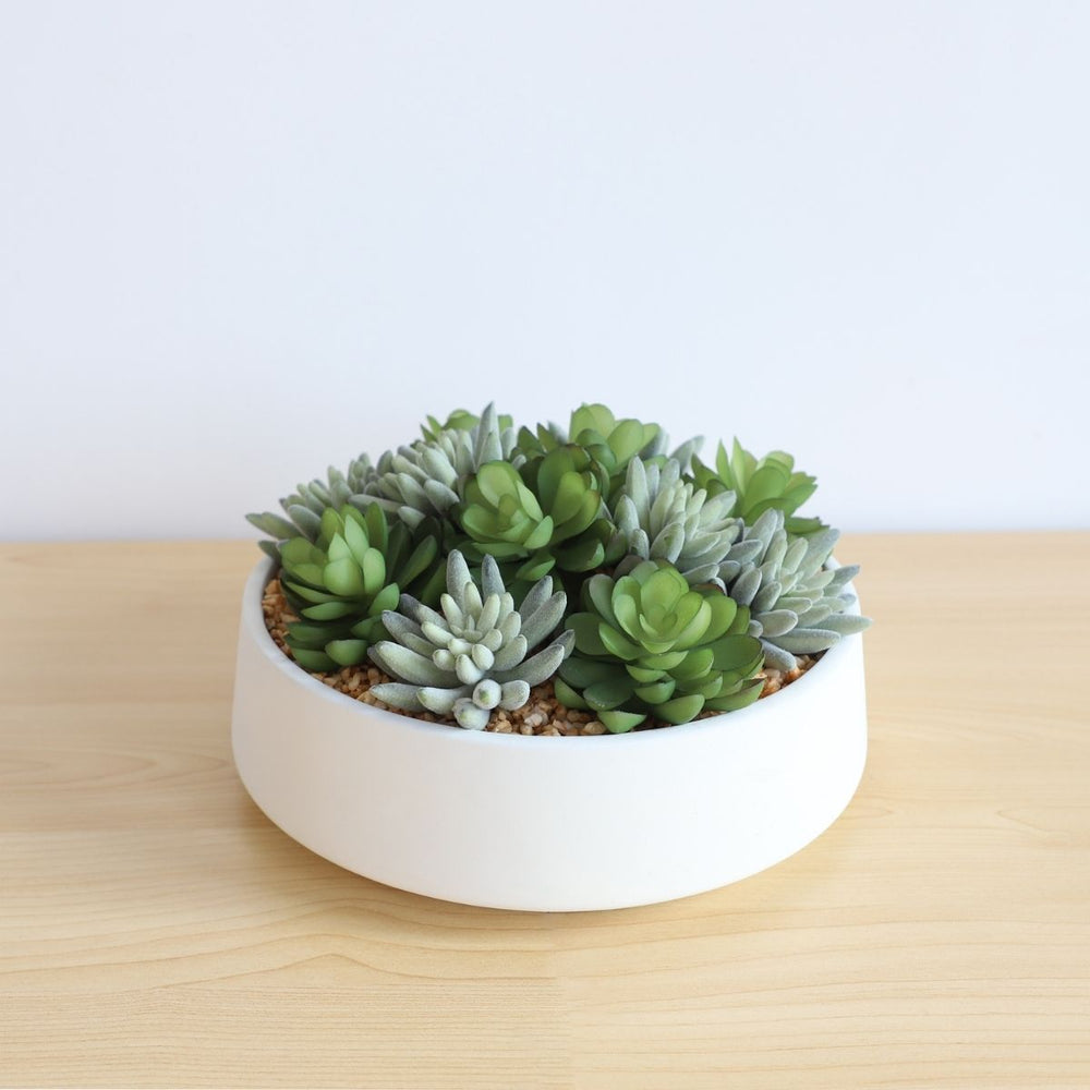 Arrangement de succulentes artificielles Eva dans un pot blanc bas