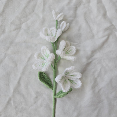 Une Branche de Jasmin