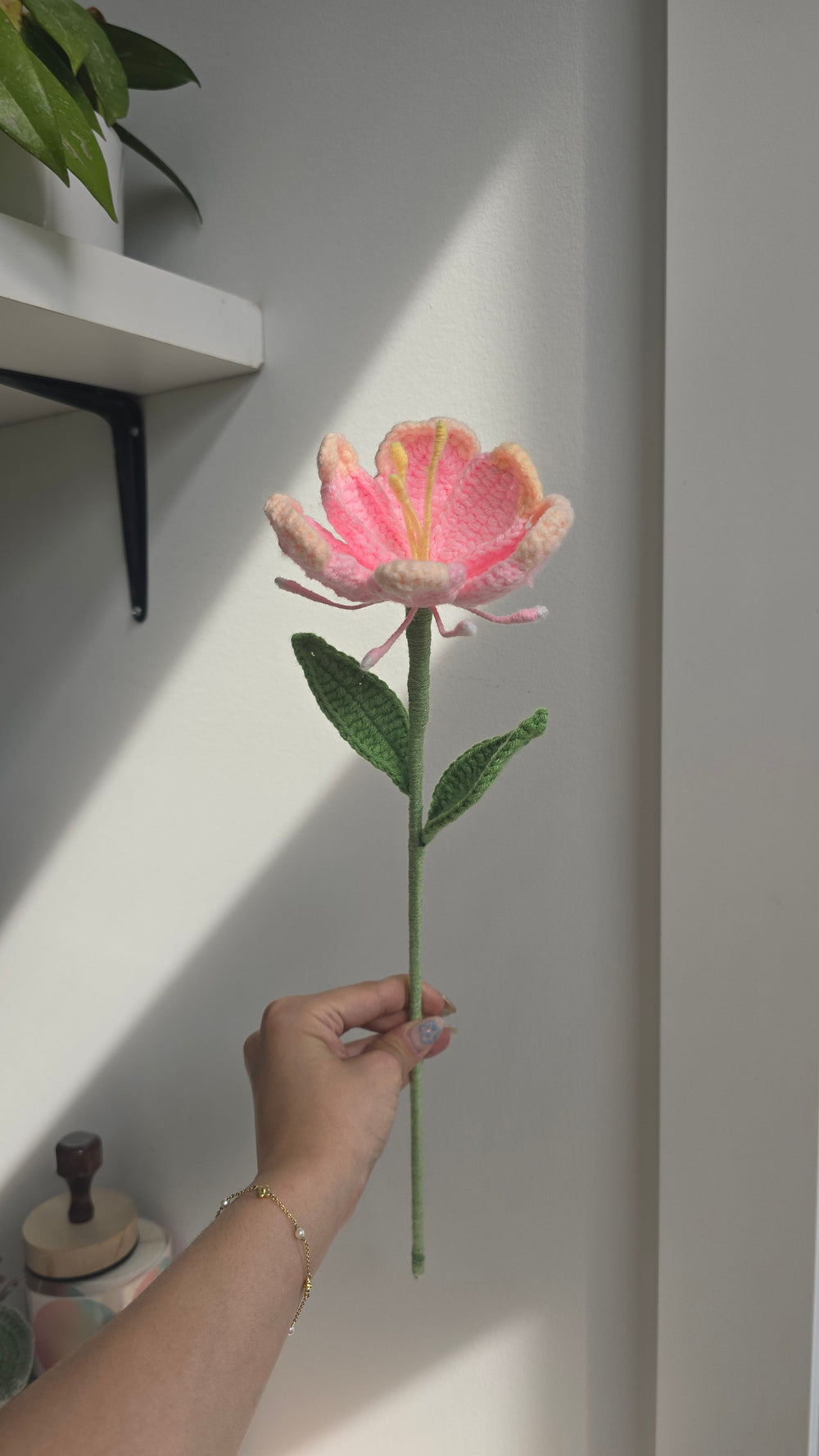 GI: Rainbow Rose