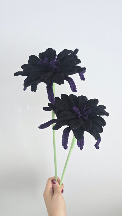 WoW/Magic : Lotus Noir