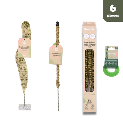 Ensemble Ultime de Supports de Plantes Flexibles