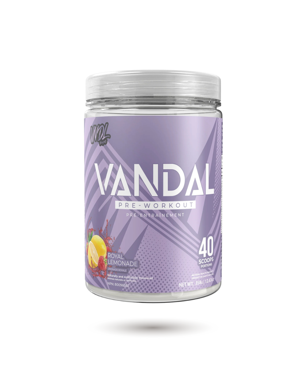VNDL Project Vandal Pré-entraînement