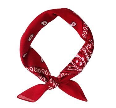 Europe Bound Bandanas 5 pack