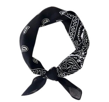 Europe Bound Bandanas 5 pack